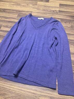 Brunella Gori 100% Extra Fine Merino Wool Sweater Italian M Purple V Neck